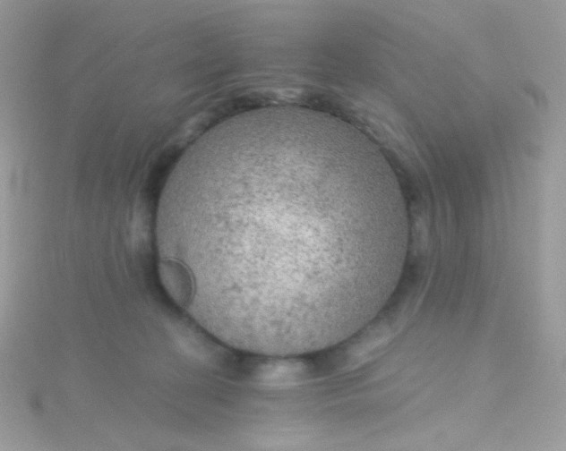 X0000115610274200911241622