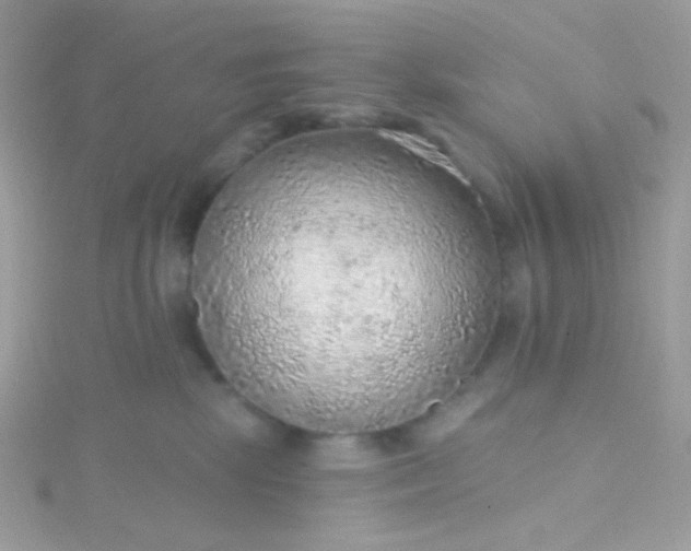 X0000115610281200911241622