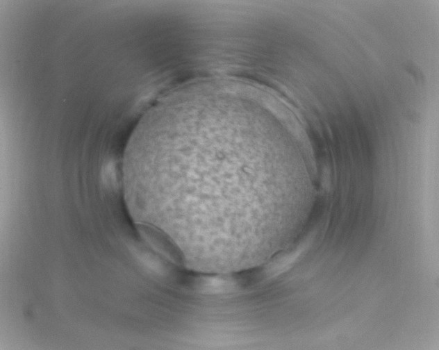 X0000115610286200911241623