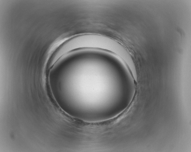 X0000115610294200911241622