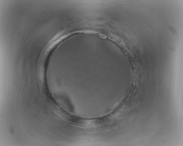 X0000115610295200911241622