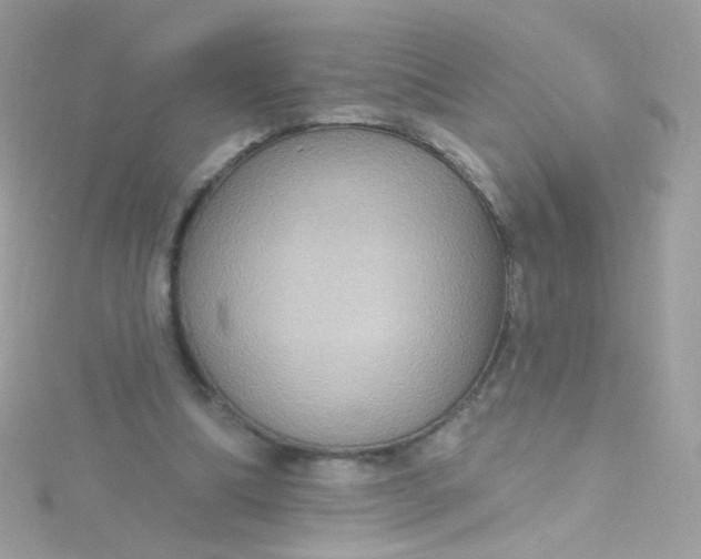 X0000115610298200911241622