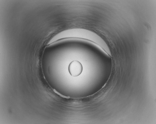 X0000115610308200911241622