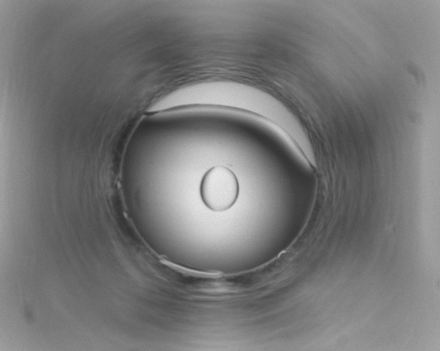 X0000115610316200911241622