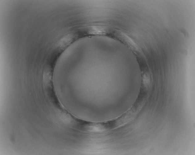 X0000115610322200911241622