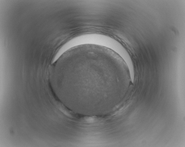 X0000115610325200911241621