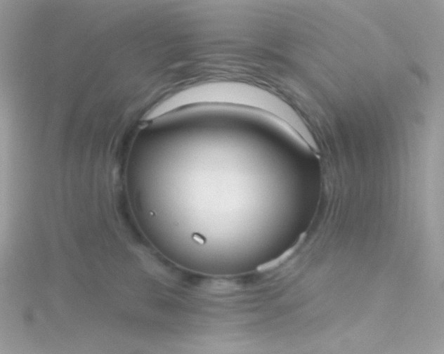 X0000115610327200911241621