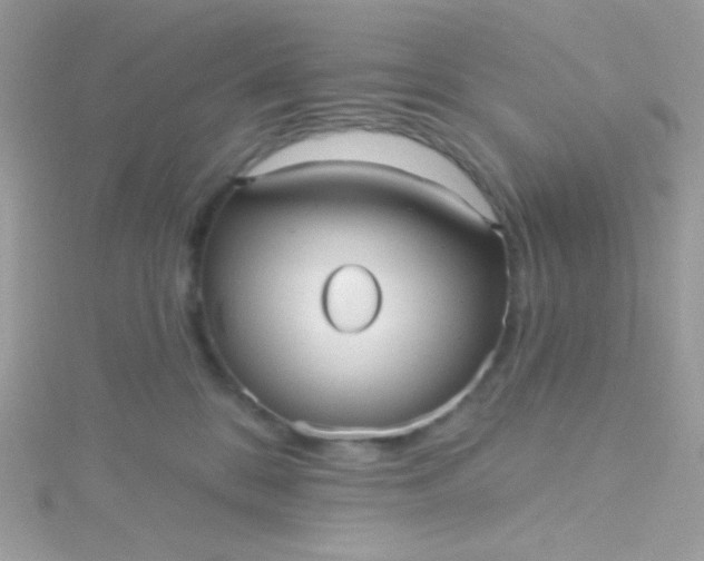 X0000115610328200911241621