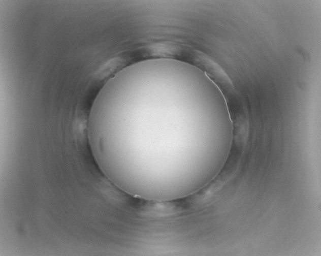 X0000115610329200911241621