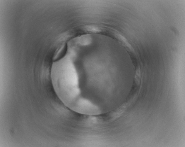 X0000115610330200911241621