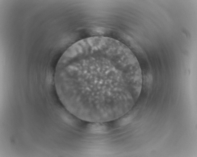 X0000115610331200911241621