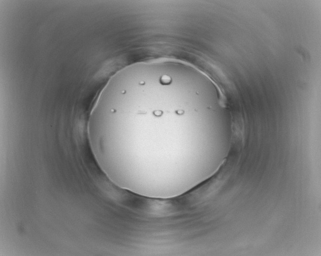 X0000115610333200911241621