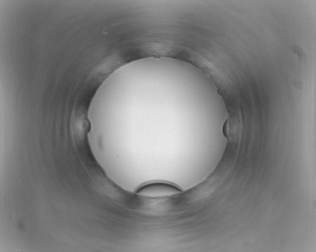 X0000115610334200911241621