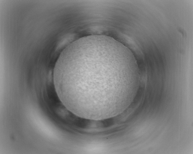 X0000115610335200911241621