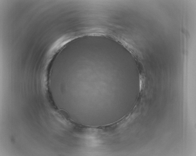 X0000115610339200911241621