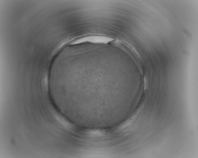 X0000115610349200911241621