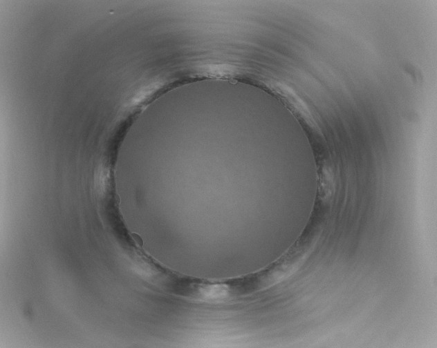 X0000115610355200911241621