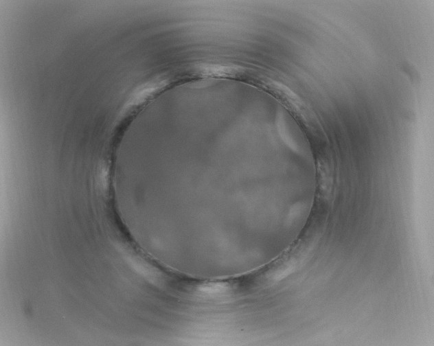 X0000115610357200911241621