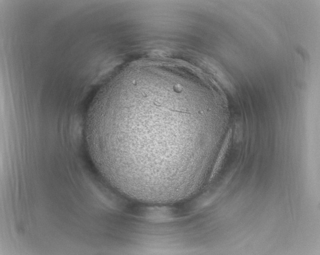 X0000115610363200911241621