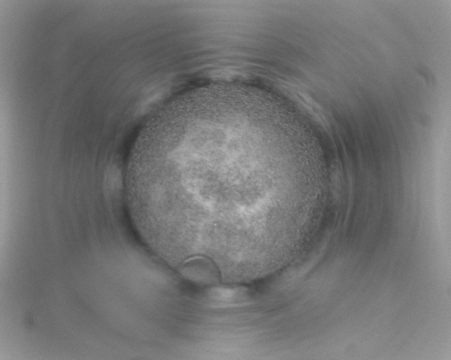 X0000115610375200911241621