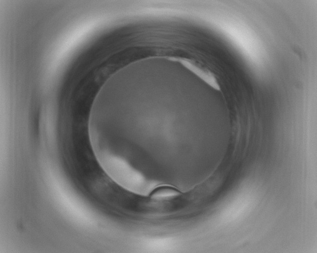 X0000115610383200911241621