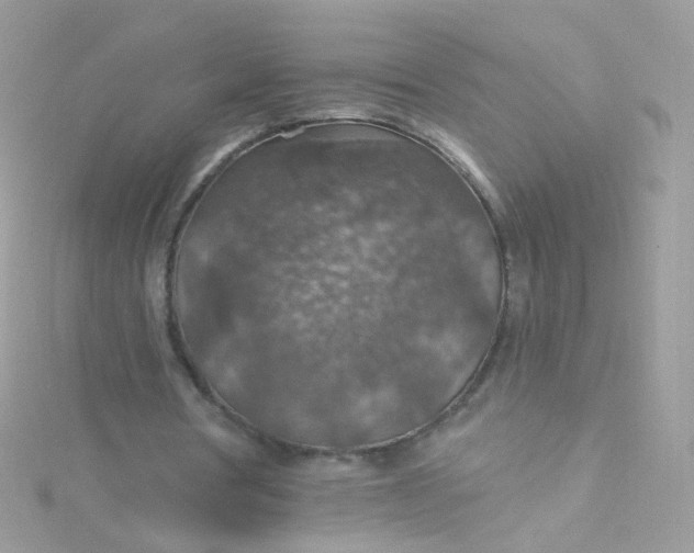 X0000115610386200911241621