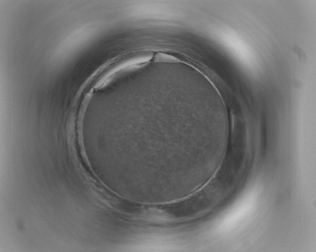 X0000115610387200911241621