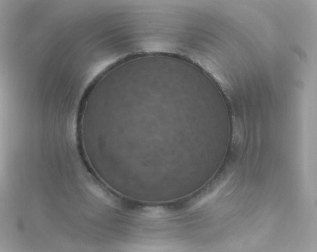 X0000115610391200911241621