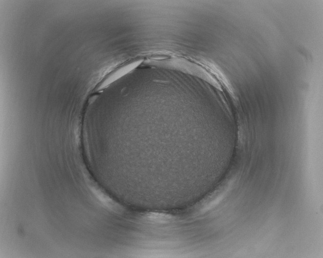 X0000115610393200911241621