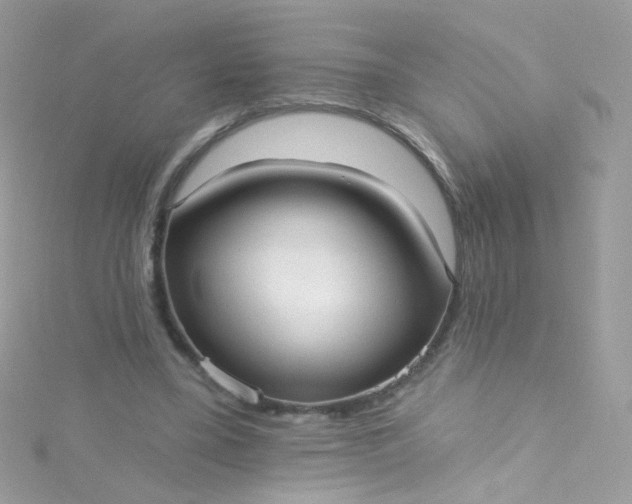 X0000115610395200911241621