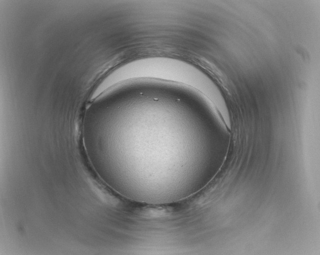 X0000115610405200911241620
