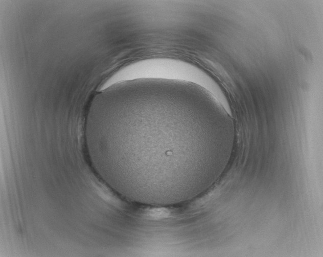 X0000115610409200911241620
