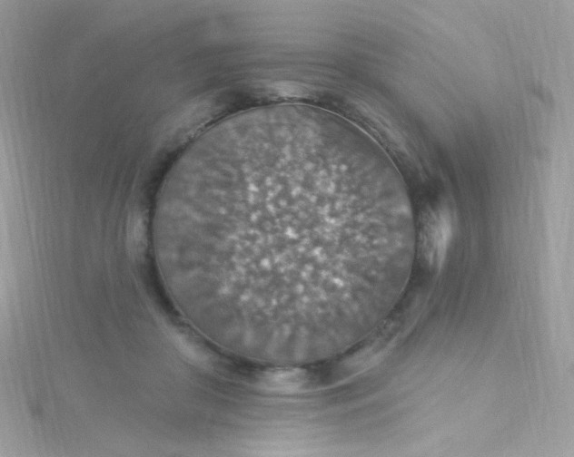 X0000115610410200911241620