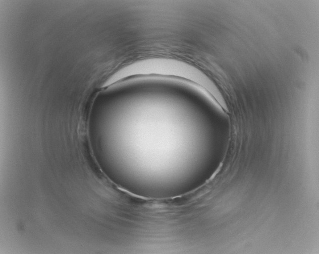 X0000115610419200911241620