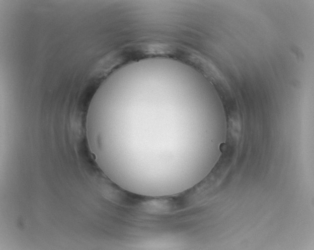 X0000115610422200911241620