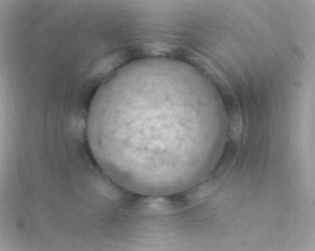 X0000115610427200911241620