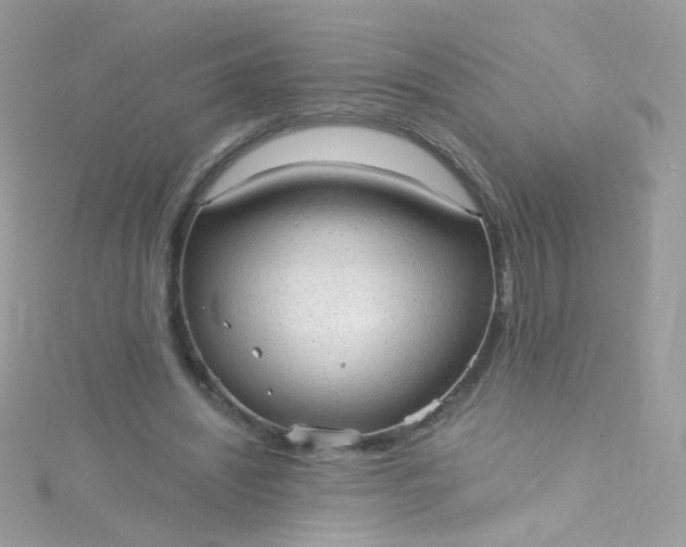X0000115610444200911241620