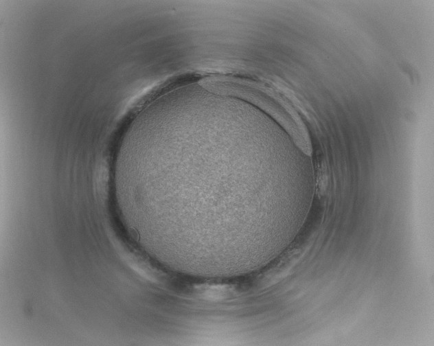 X0000115610448200911241620