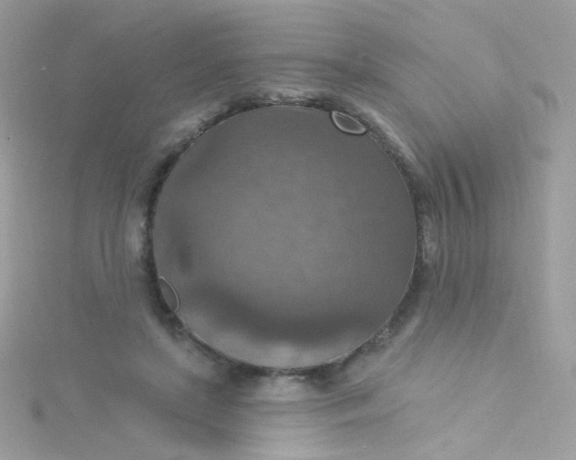 X0000115610451200911241620