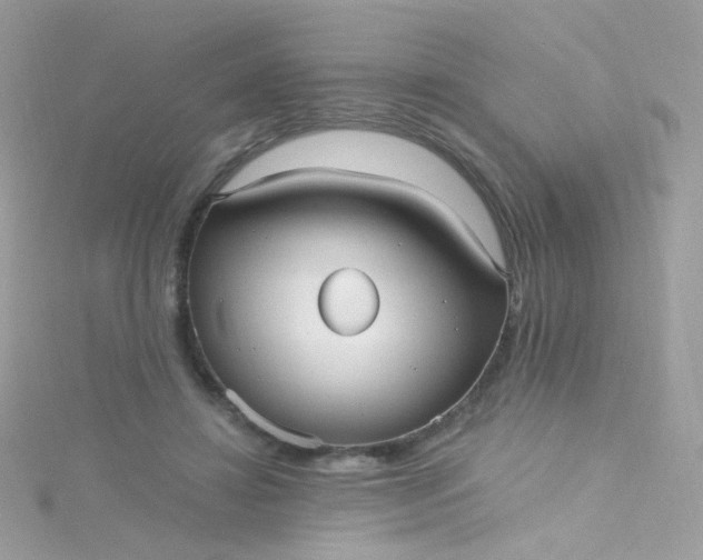 X0000115610452200911241620