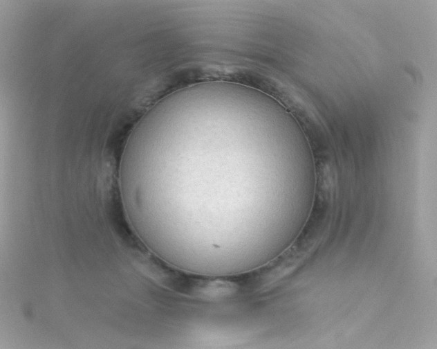 X0000115610463200911241620