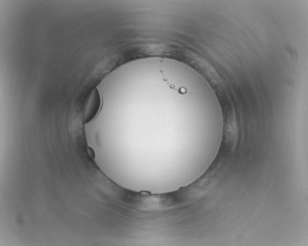 X0000115610473200911241620