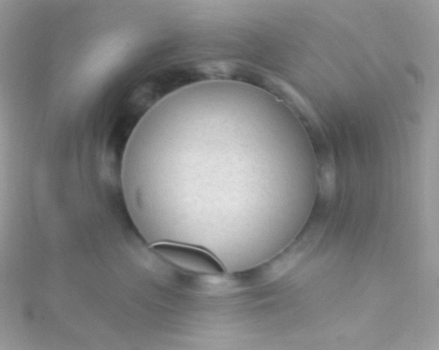 X0000115610477200911241620