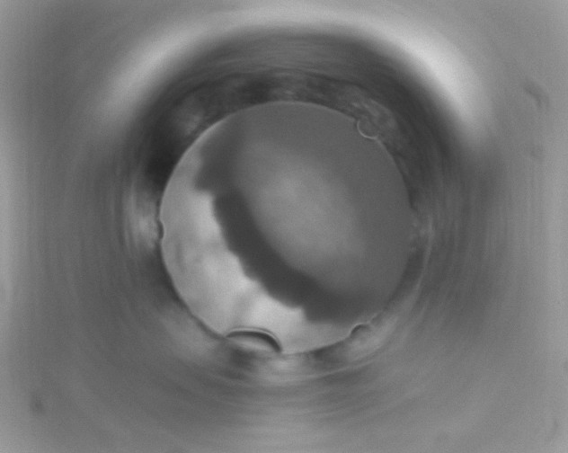 X0000115610479200911241620