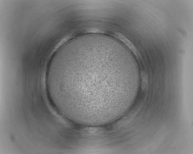 X0000115610482200911241619