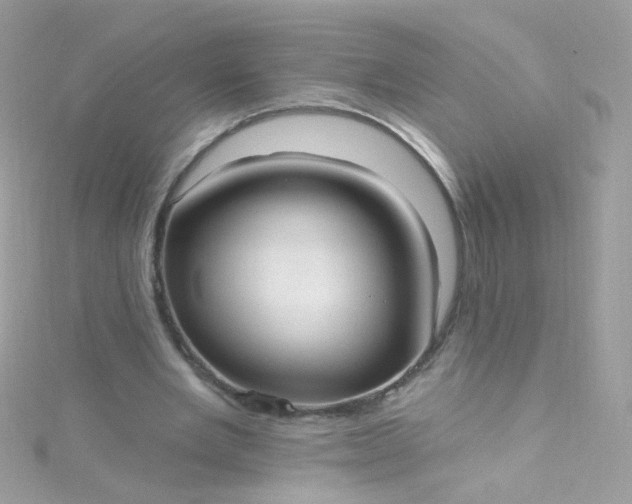 X0000115610485200911241619