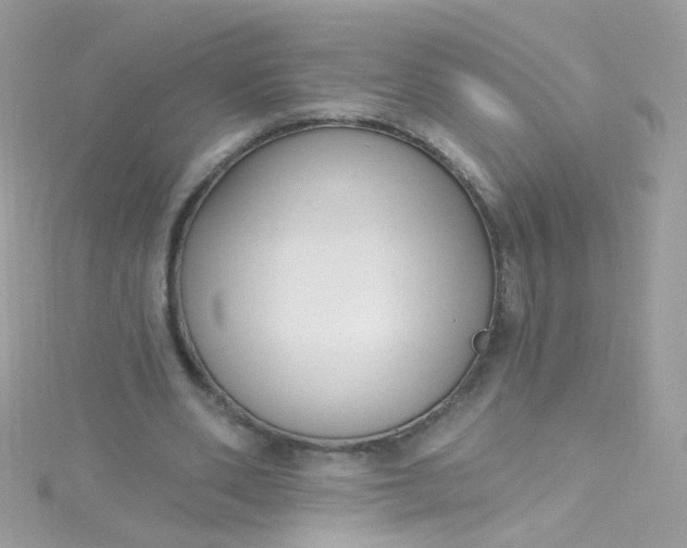 X0000115610486200911241619