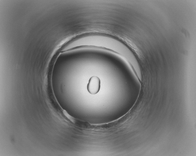 X0000115610488200911241619