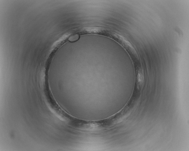 X0000115610492200911241619