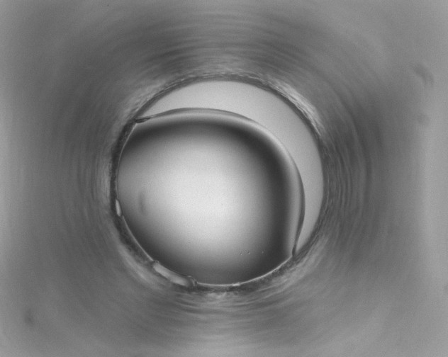 X0000115610493200911241619